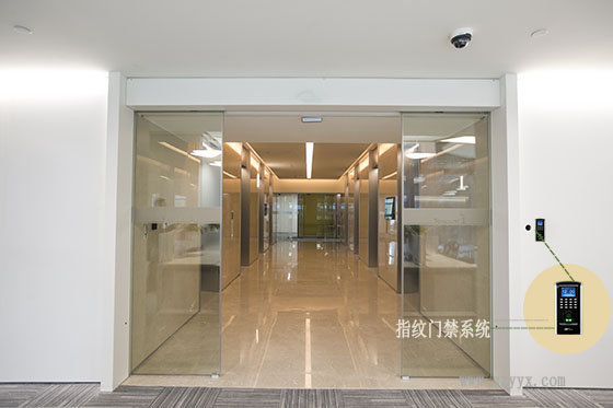 钢化玻璃黄瓜视频APP色版-腾讯案例图片